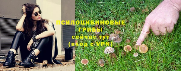 МДПВ Абдулино