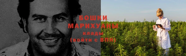 apvp Инсар