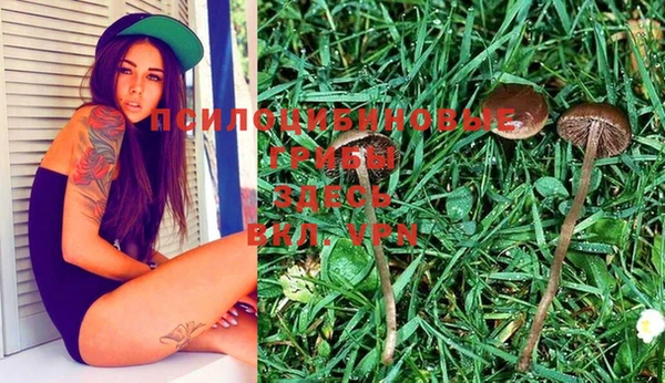 spice Абинск