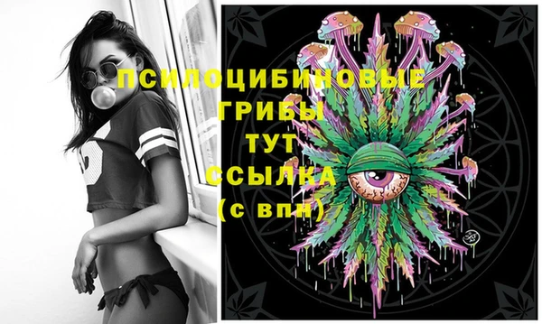 МДПВ Абдулино