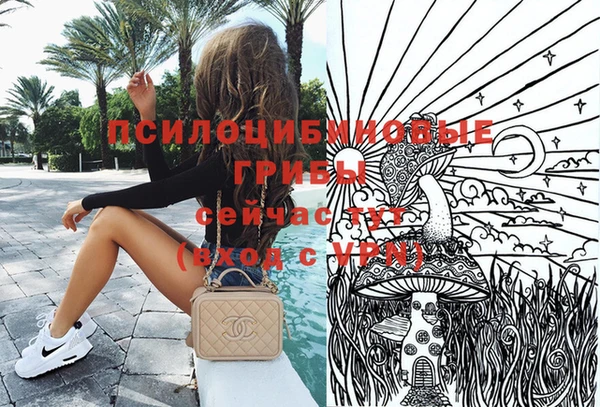 МДПВ Абдулино