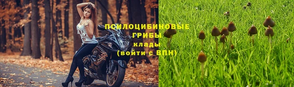 экстази Абаза