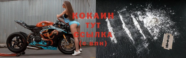 тгк Инта